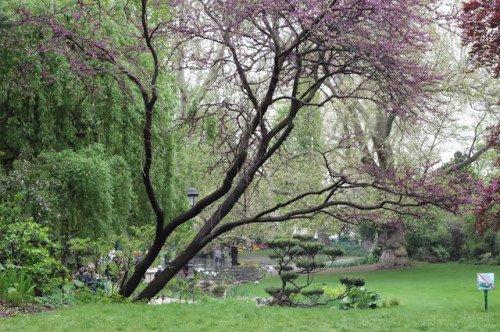 Công viên Square des Batignolles Công viên Square des Batignolles